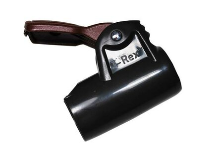 Isabella T-Rex (3 pcs)